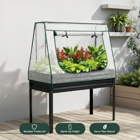 Small greenhouse with plants on a wooden deck against a white wall.