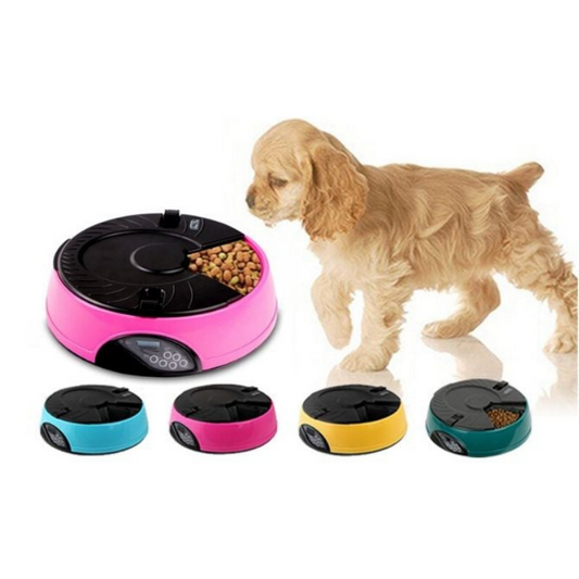 Auto Pet Feeder