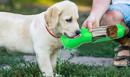 Multifunctional Outdoor Travel Pet Feeder and Poop Scooper
