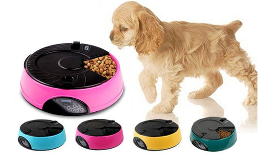 Auto Pet Feeder