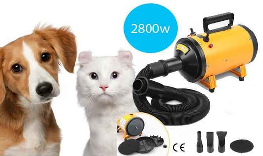 Pet Grooming Hair Blow Dryer - Direct On Sale