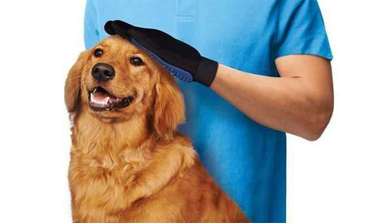 Pet Grooming Magic Hair Brush Glove - Direct On Sale