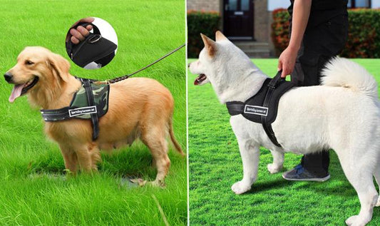 Pet Product - Adjustable Dog Harness