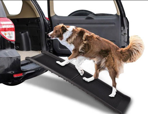 Portable Folding Pet Ramp