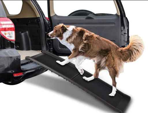 Portable Folding Pet Ramp - Direct On Sale