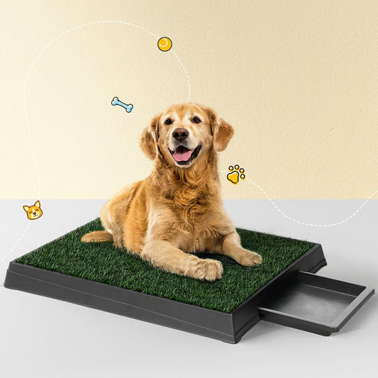Pet Training Pad Dog Potty Toilet Large Loo Portable With Tray Grass Mat - Direct On Sale