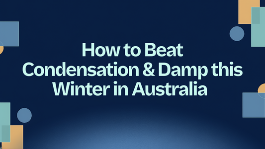 How to Beat Condensation and Damp in Your Home This Winter
