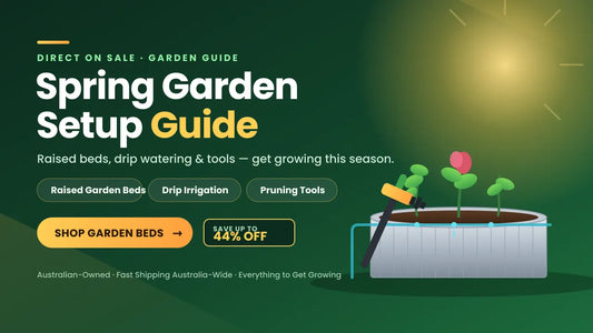 Spring Garden Setup Guide: Get Growing This Season in Australia