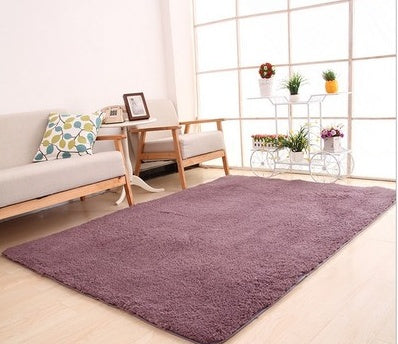 Plush area rug in a living room