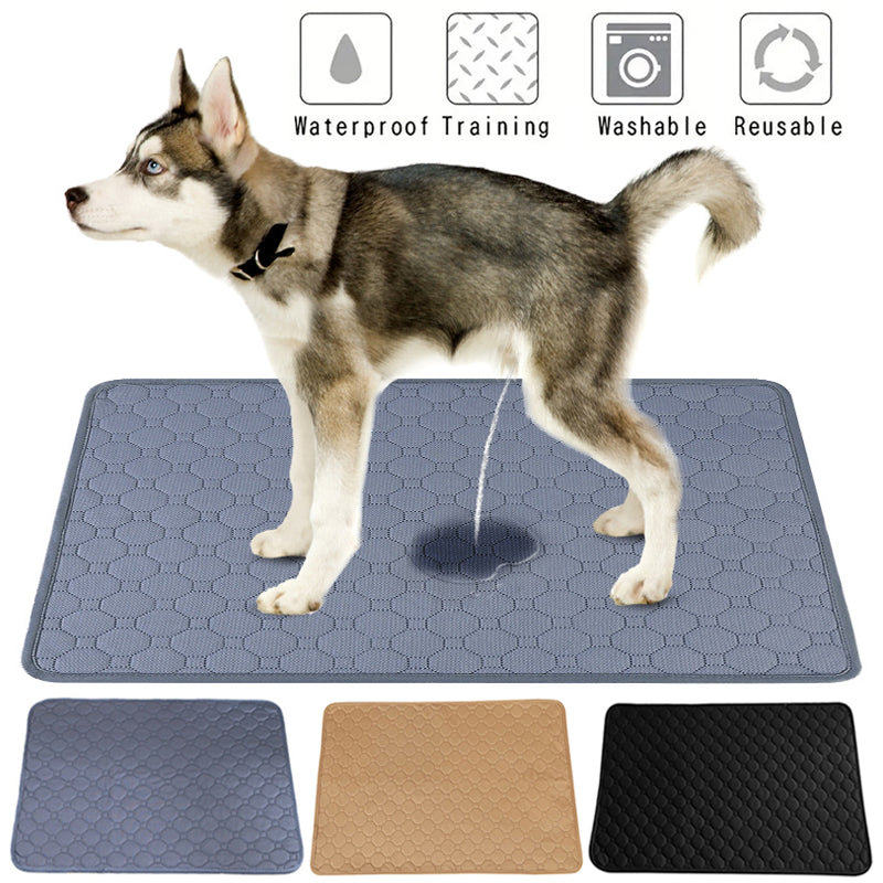 Washable reusable dog pee pad