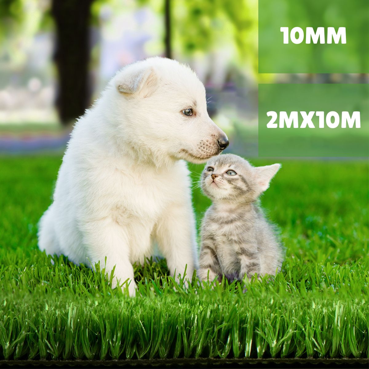White puppy and gray kitten on artificial grass with product dimensions displayed.