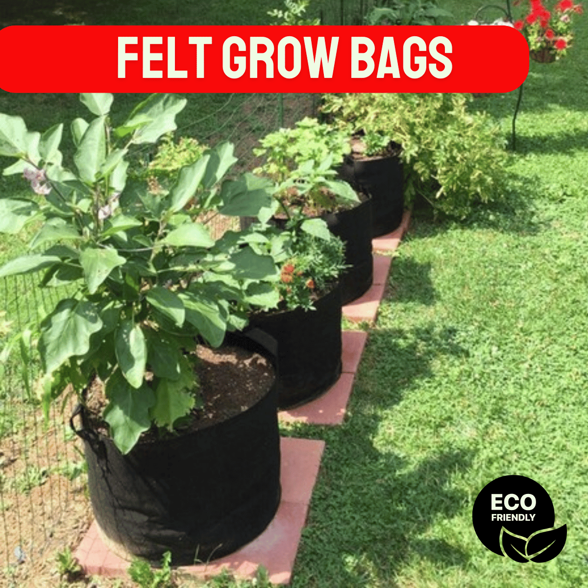 Felt grow bags with plants on a garden bed, labeled 'Felt Grow Bags' and 'Eco Friendly'.