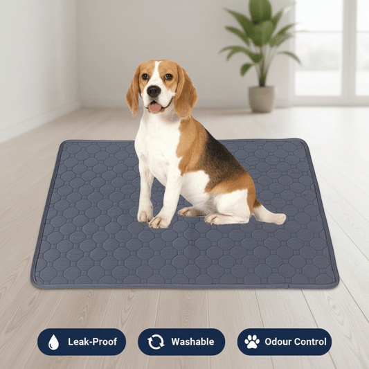 Washable Dog Pee Pads, Reusable Puppy Training Pads, Waterproof Backing