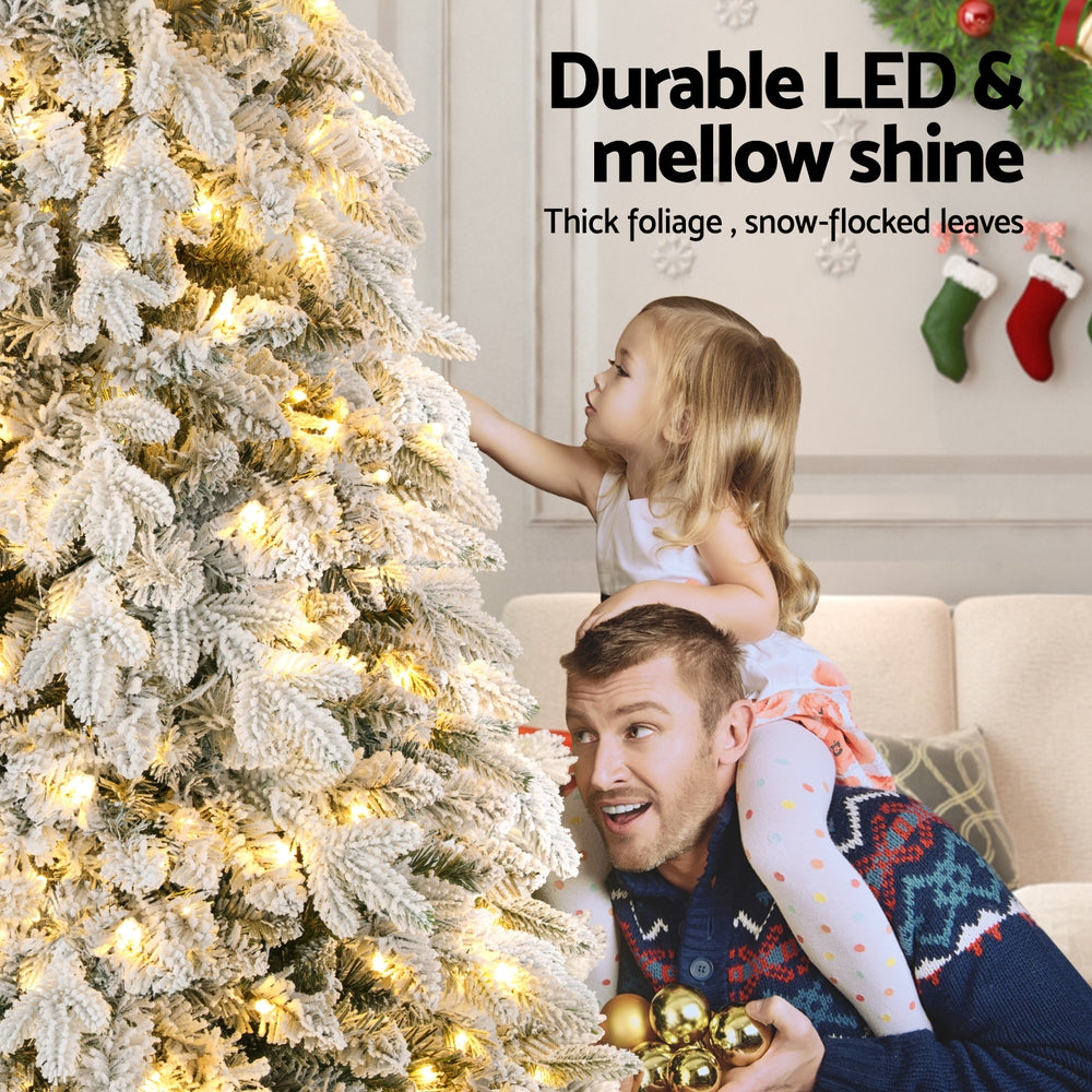 Warm white glow on the pencil tree