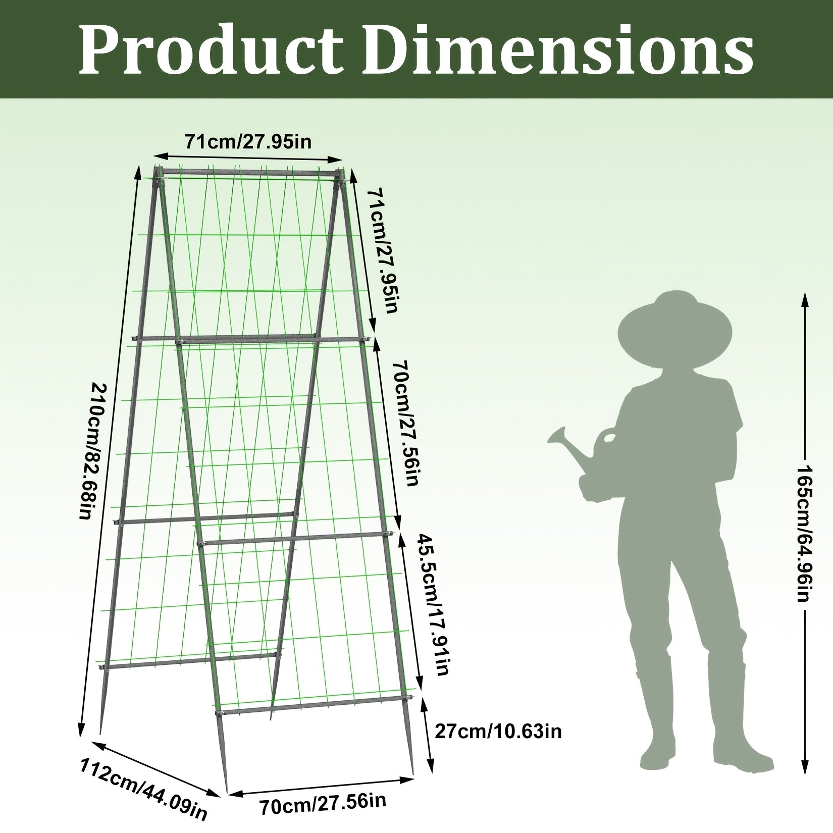 Ground spikes anchoring the trellis