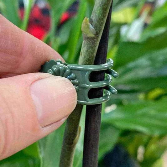 Garden Plant Support Clips (20Pack) Butterfly Orchid Clips Plant Support Stem Clamps Garden Flower Vine Plant Support Garden Tools - Direct On Sale