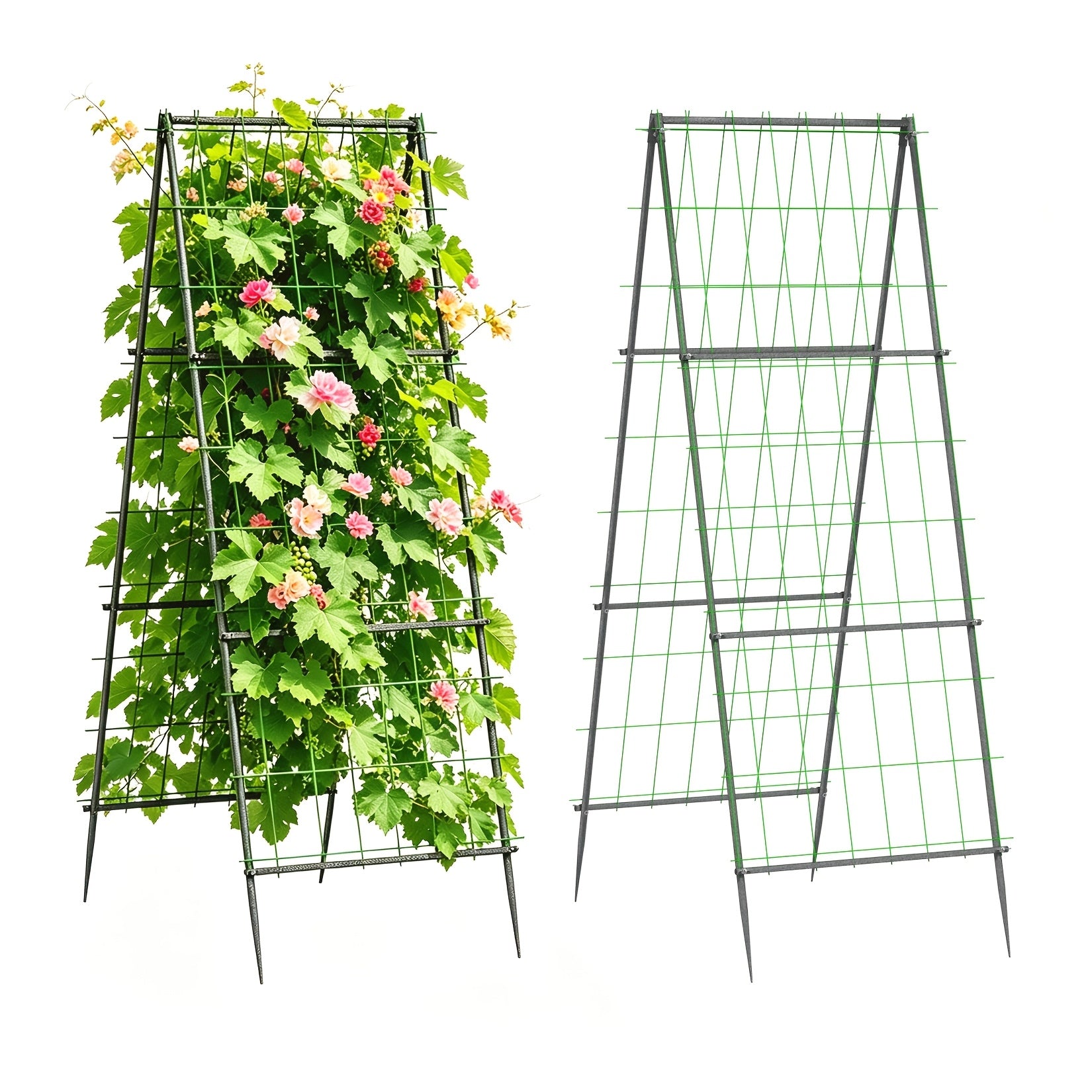 A-frame garden trellis dimensions
