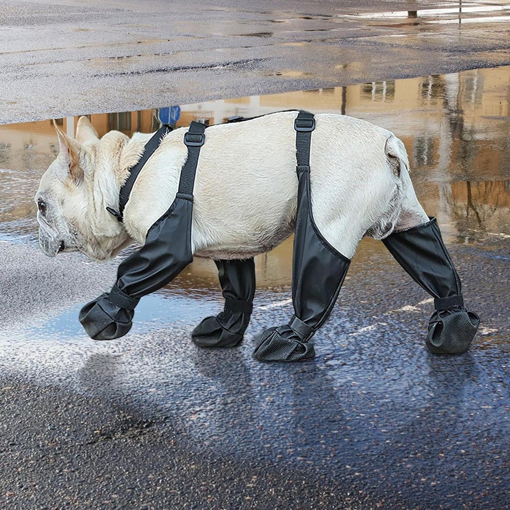 Waterproof Anti - Fall Dog Outdoor Walking Running Hiking Booties with Auxiliary Strap - Direct On Sale