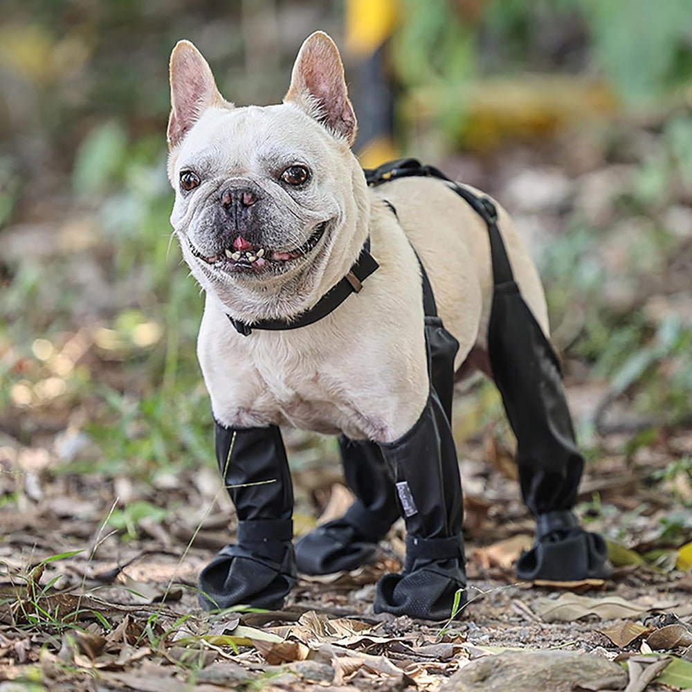 Waterproof Anti - Fall Dog Outdoor Walking Running Hiking Booties with Auxiliary Strap - Direct On Sale