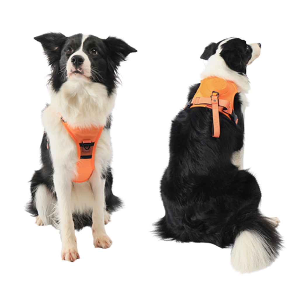Ultimate 2-in-1 Reflective No-Pull Dog Harness with Retractable Leash and Control Handle_9
