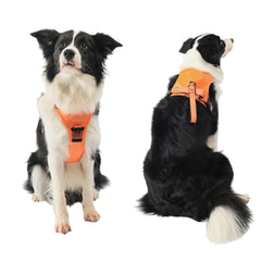 Ultimate 2-in-1 Reflective No-Pull Dog Harness with Retractable Leash and Control Handle_9