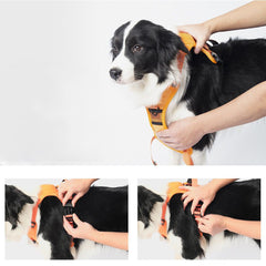 Ultimate 2-in-1 Reflective No-Pull Dog Harness with Retractable Leash and Control Handle_12