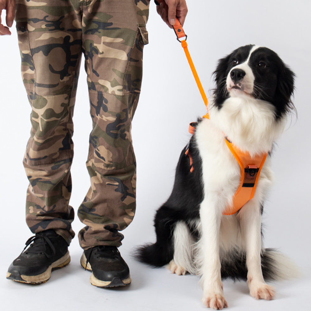 Ultimate 2-in-1 Reflective No-Pull Dog Harness with Retractable Leash and Control Handle_14