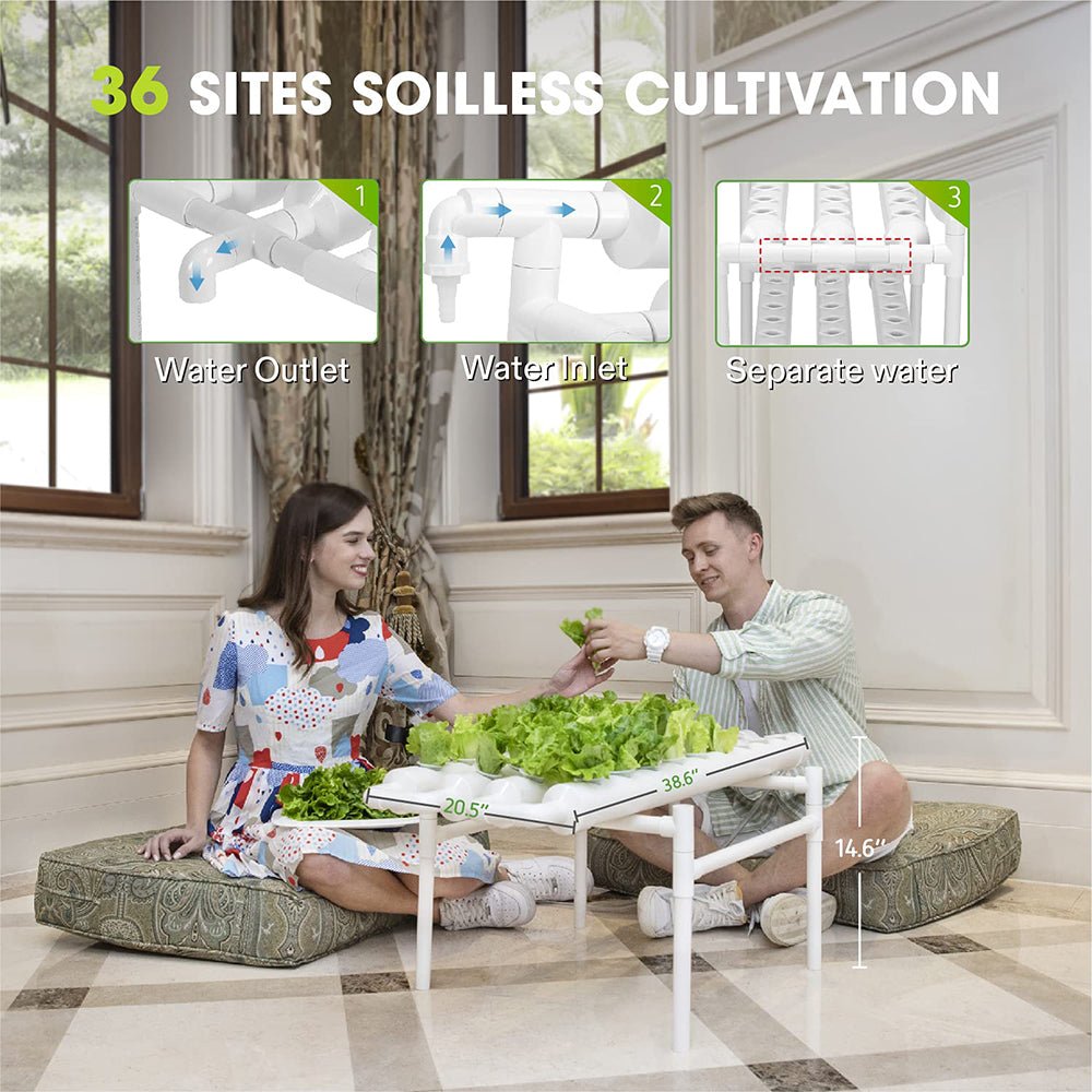 36 Sites Hydroponic Grow Tool Kits Vegetable Garden System 220V Water Pump - Direct On Sale