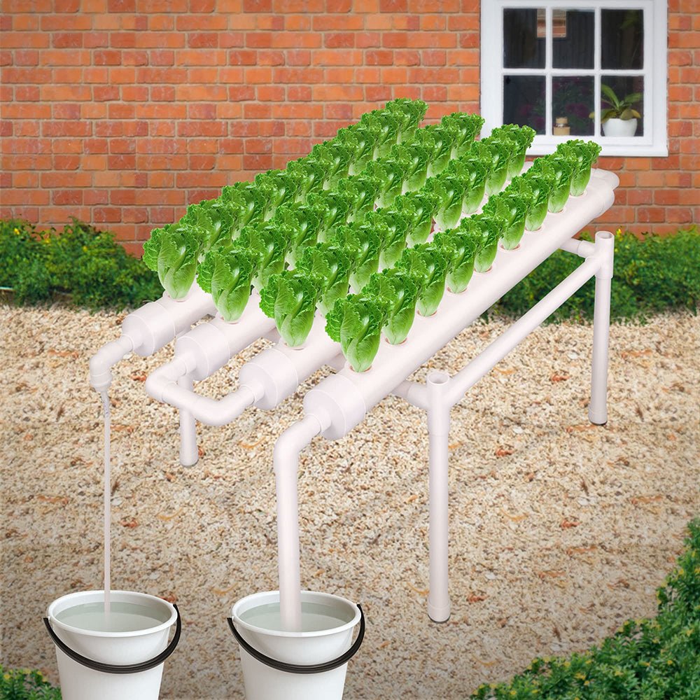 36 Sites Hydroponic Grow Tool Kits Vegetable Garden System 220V Water Pump - Direct On Sale