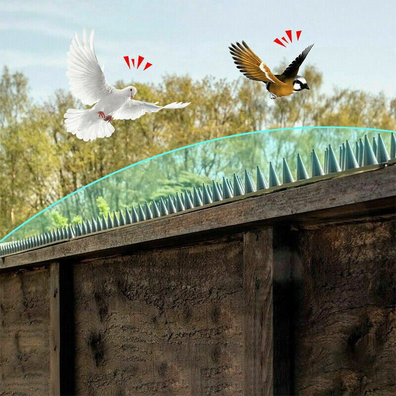 5.4m/10.8m Bird Spikes Human Cat Possum Mouse Pest Control Spiked Fence Garden - Direct On Sale