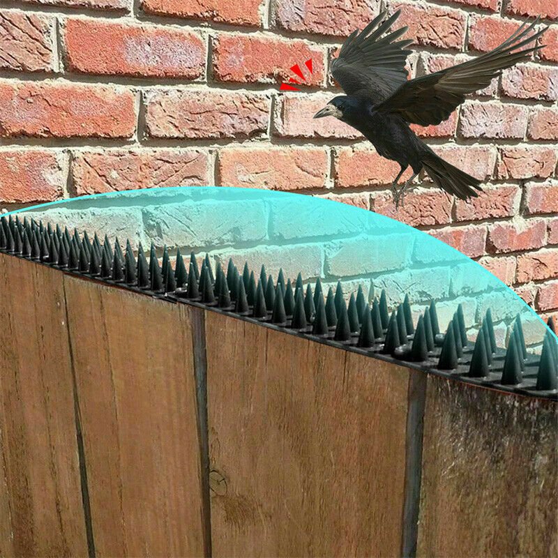 5.4m/10.8m Bird Spikes Human Cat Possum Mouse Pest Control Spiked Fence Garden - Direct On Sale