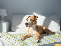 Pet Gel Cooling Mat Dog Cat Non-Toxic Bed Self-cool Summer Pad