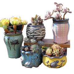 Set Of 5 Ceramic Clay Pottery Pots Succulent Flower Planter Draining Hole