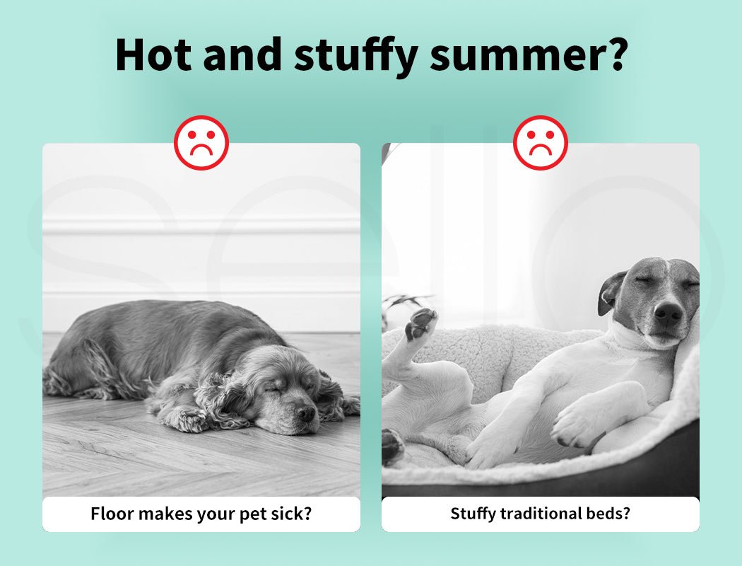 Pet Gel Cooling Mat Dog Cat Non - Toxic Bed Self - cool Summer Pad - Direct On Sale