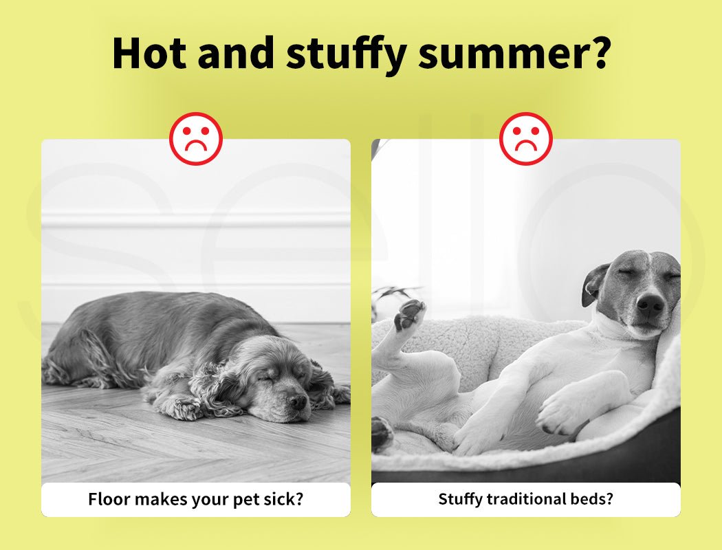 Pet Gel Cooling Mat Dog Cat Non - Toxic Bed Self - cool Summer Pad - Direct On Sale
