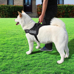 Pet Product - Adjustable Dog Harness