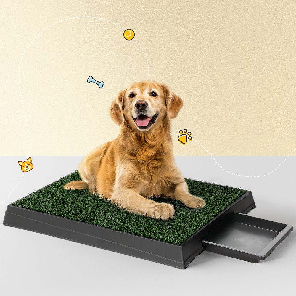 Pet Training Pad Dog Potty Toilet Large Loo Portable With Tray Grass Mat - Direct On Sale