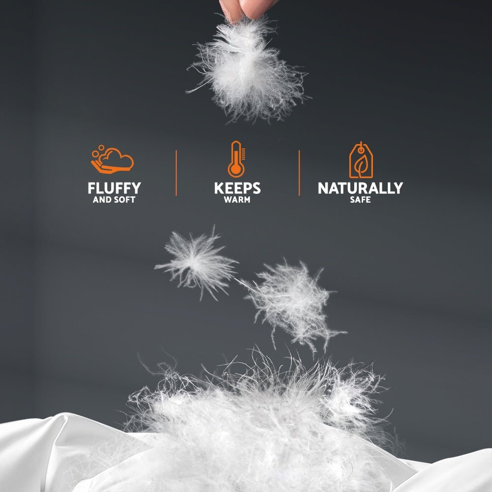 Premium Goose Down Feather Winter Quilt Bedding Queen King 800GSM - Direct On Sale