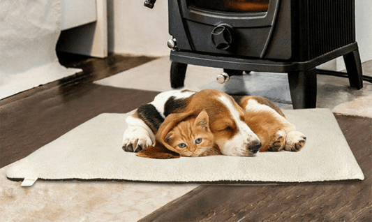 Self - Heating Thermal Pet Bed Self Warming Pet Mat - Direct On Sale