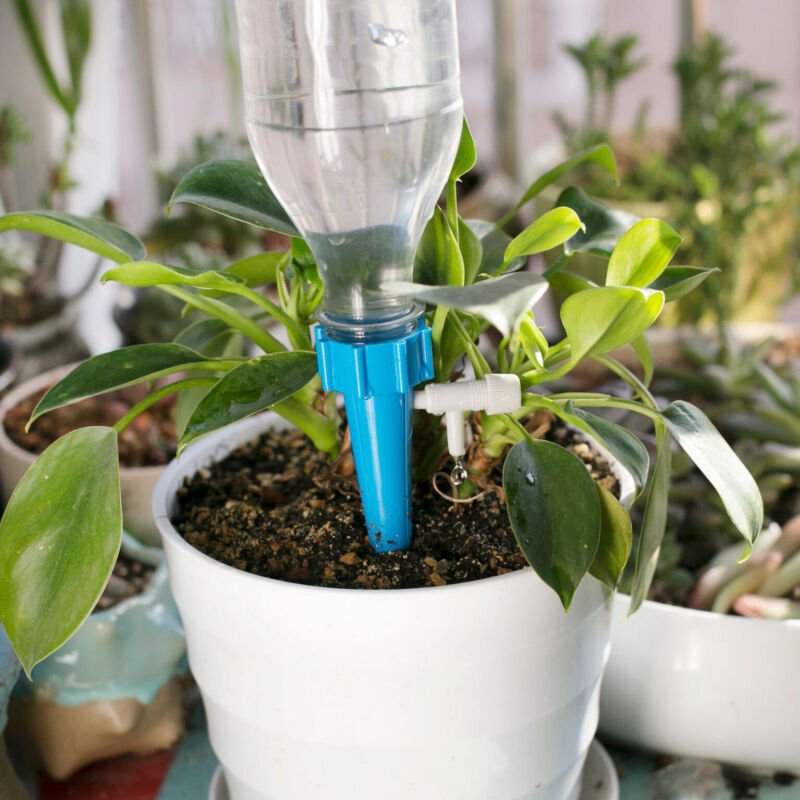 Self-Watering Drippers x24