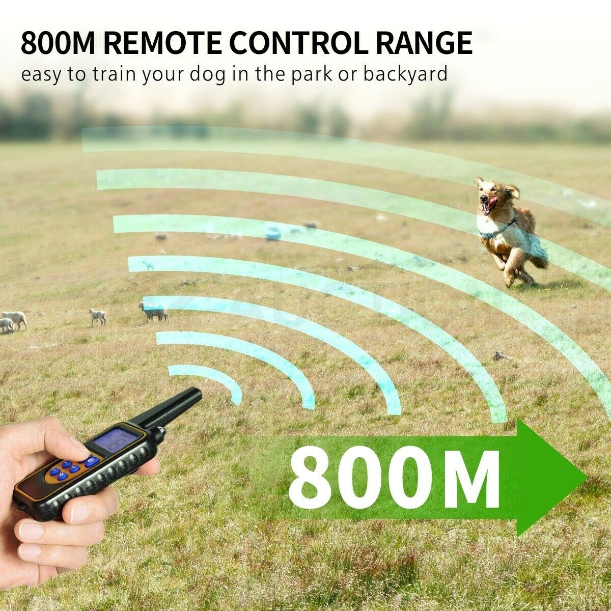 Ultrasonic Pet Dog Bark Control Collar - Direct On Sale